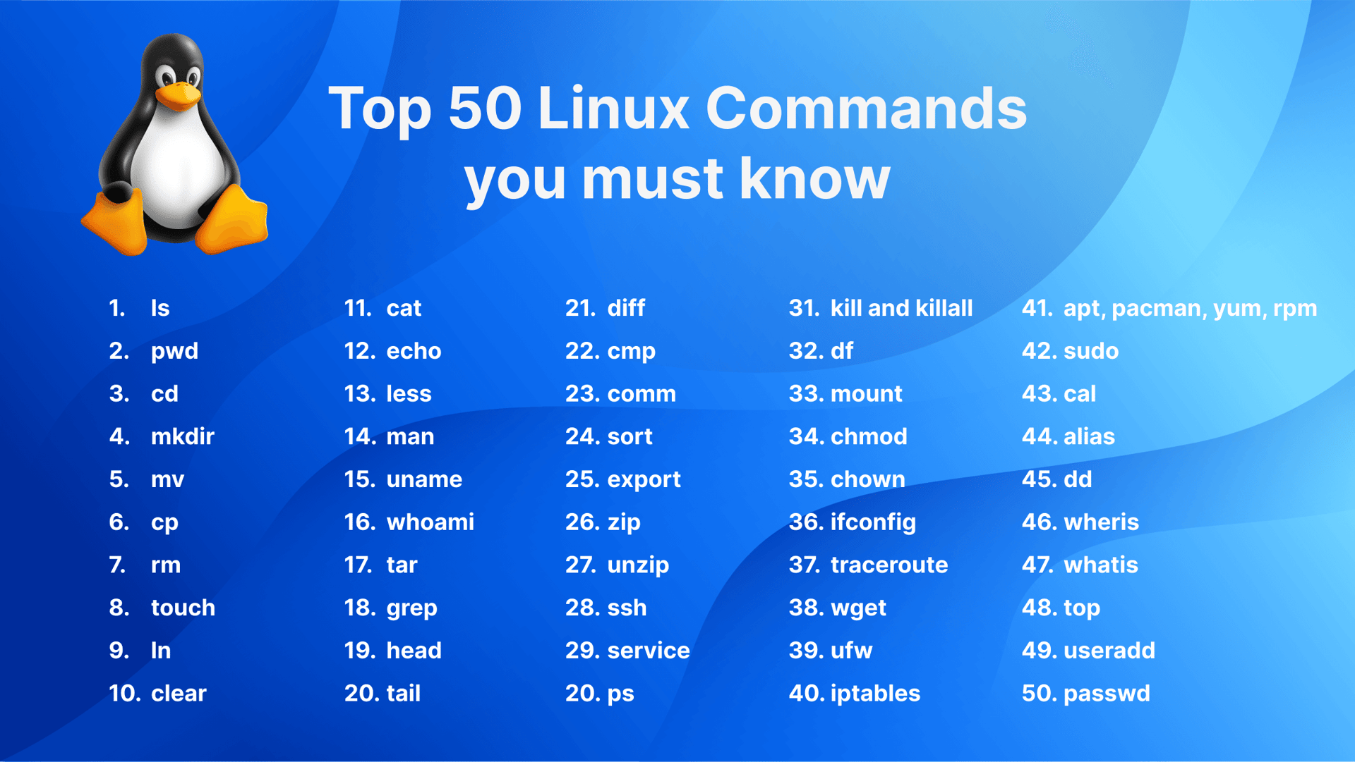 Basic Linux Commands Guide for Beginners